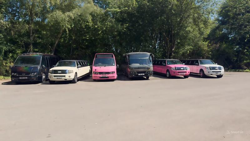 Complete fleet of party buses - luxury transport collection